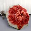 1 PC Automatic Folding Umbrella -Some fruitsPattern,Portable & Foldable Design with 8 Ribs,Christmas Birthday Gifts
