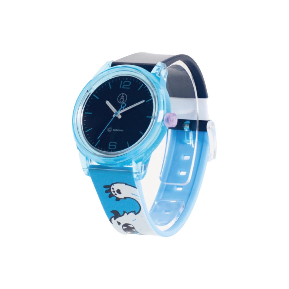 

Часы CITIZEN SK8 Smile Solar SK SK8 the Infinity x Q&Q SmileSolar Модель Ранги