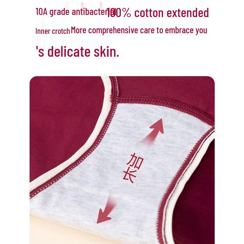 Men's Cotton Antibacterial Briefs