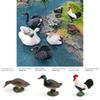 Animal Figurine With Realistic Plastic Ducks Rooster Swans For Educational Display And Collecting