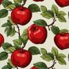 Outdoor Dekostoffe Oxford - Motiv Obst | Dx6618