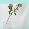 Paniculata Home Murraya Floral Decor For Wedding And Photography Props