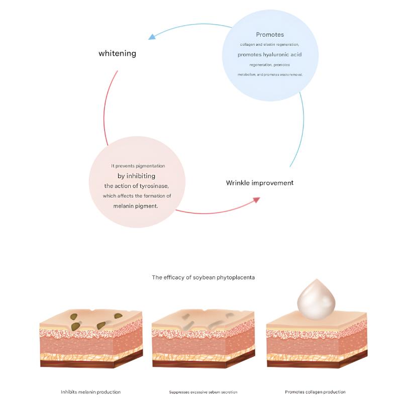 [Bellmona] Soluție Celule Stem 5ml x 10 Fiole/RONAS
