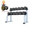 Professional Steel Fixed Dumbbell Set with Storage Rack