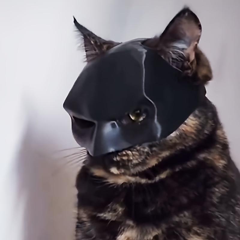 Prank Funny Black Bat Shaped Pet Cat Helmet with Bungee Cord Photo Mask
