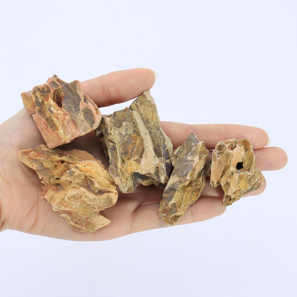 1lb/500g Natural Dragon Bone Stone, Aquarium Landscape Decorative Stone, Natural Irregular Stone, Porous Stone, Fish Tank Fillin