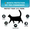 Cats Flea and Tick Collar Treatment Prevention Natural Essential Oil Adjustable Waterproof 8 Months