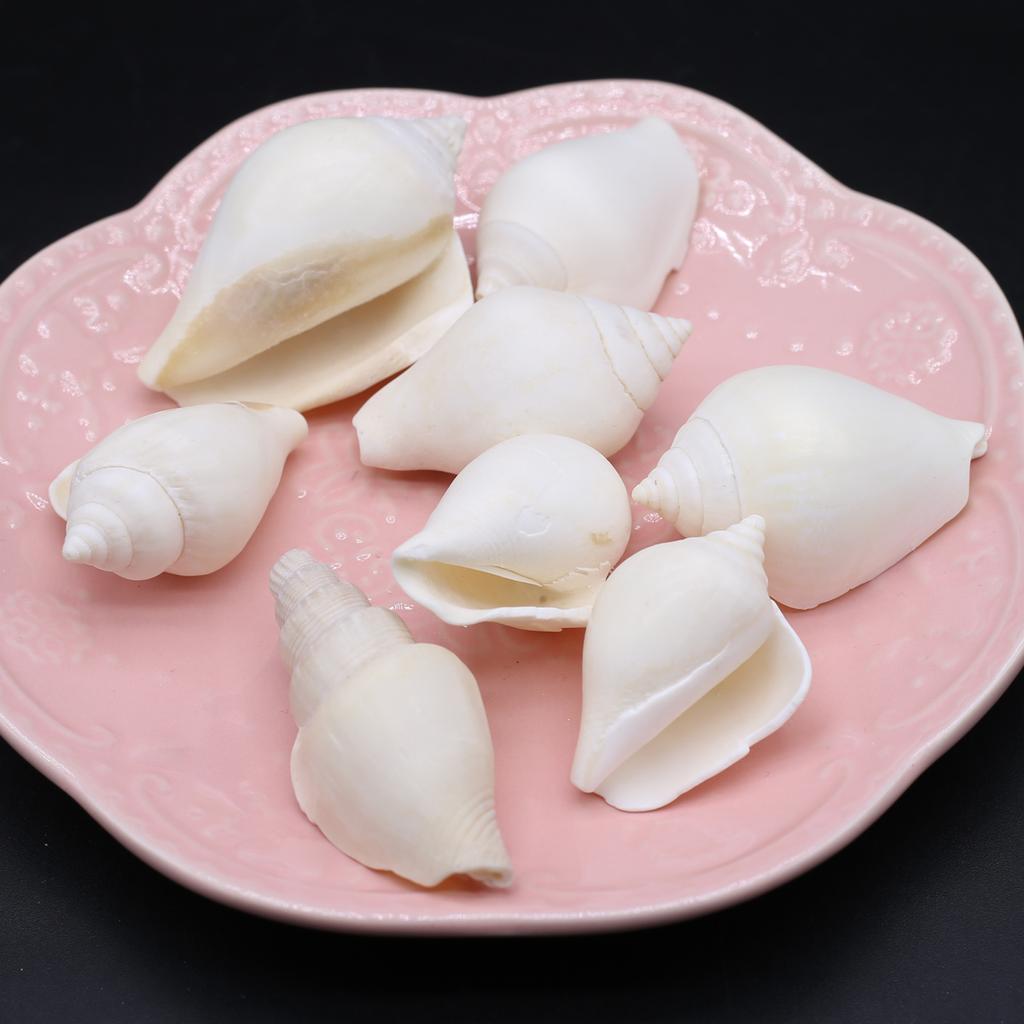 Cheap 200G DIY Shell Beads White Snail Shell Bead Without Hole Bathtub ...