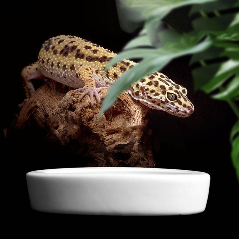 Reptile Water Food Bowl Terrarium Bowls Worm Dish Ceramic Pet Bowls Anti-Escape Feeding Dish, Birds Bowl