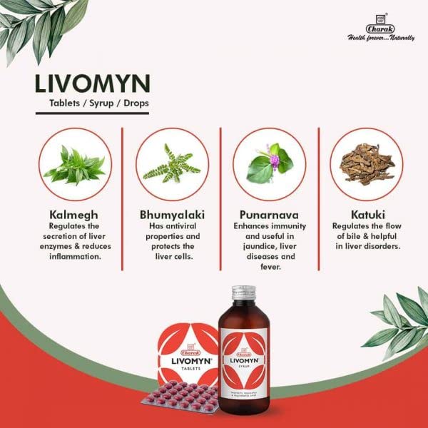 Charak Pharma Livomyn Drops For Children Liver Support Herbal Liquid Supplement 60 ml X Pack Of 3 Daily Wellness Formula