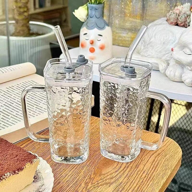 ZISIZ Glass Straw Cup with Handle