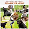 Dog Head Halter With Safety Strap, Dog Head Collar With Reflective Strap, No-pull Dog Collar Adjustable Dog Harness Training-In Stock 25-26