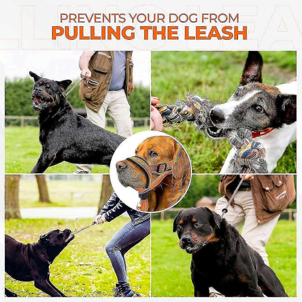 Dog Head Halter With Safety Strap, Dog Head Collar With Reflective Strap, No-pull Dog Collar Adjustable Dog Harness Training-In Stock 25-26