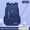 Li Shen Primary School Backpack