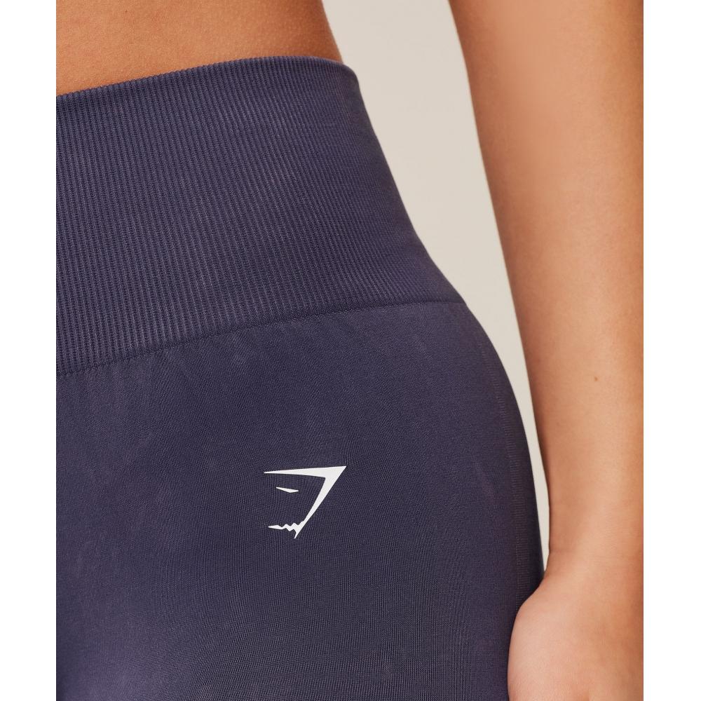 Gymshark Everyday Seamless Washed Legging 2.0 Gs Midnight Purple Wash B6b8x Pcl1