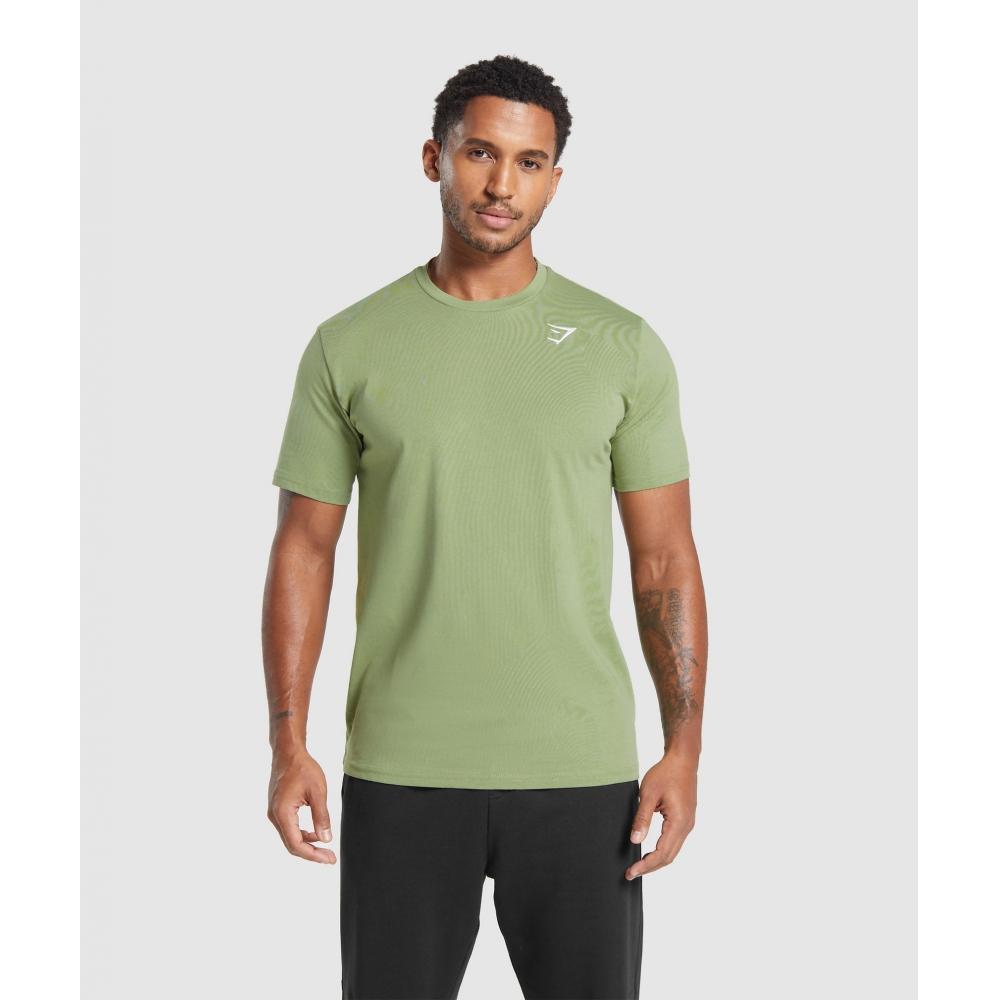 

Футболка GYMSHARK Crest Natural Sage Green A1A3J ECJK XXL