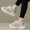 Women's Mesh Hole Shoes Breathable Thick Sole Versatile Sports Shoes Student Casual Running Shoes