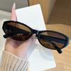 Vintage Y2K Stylish Women Sunglasses Cat Eye Shape UV Protection Men Sun Glasses Unisex Hiking Driving Sunglasses