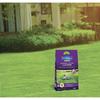 FERTILIGENE Engrais Gazon 4 Actions, 2,45kg, 60m² Gazon Ultra Dense, 35m²19