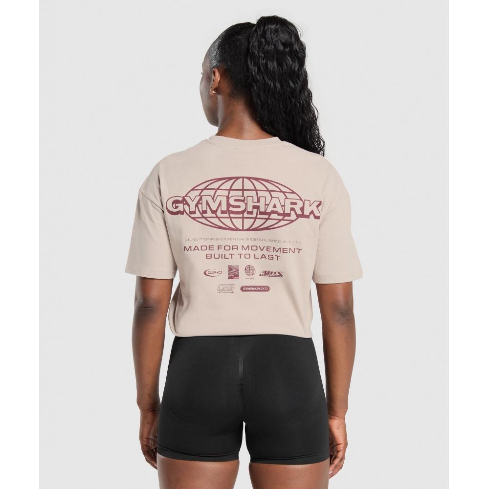 

Футболка GYMSHARK Worldwide Stone Pink B1C6Q KBS4
