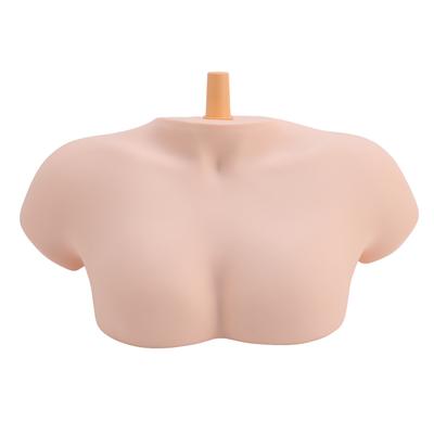 Female Shoulder Model for Hairdressing Training Mannequin Head Support Stand Hairdressing Doll Head