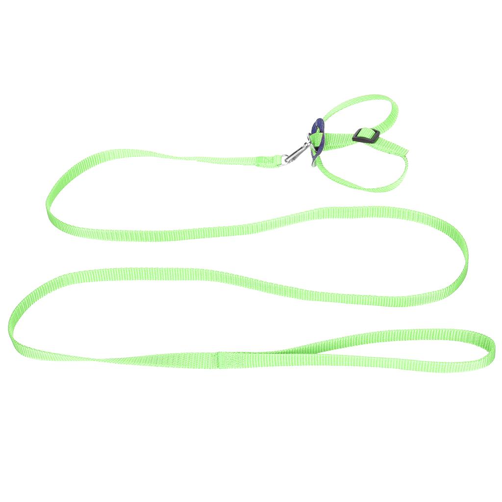 Vogelgeschirr Papageienleine Verstellbar Vögel Nylon Anti-Biss Seil für Outdoor-Training(Grün )