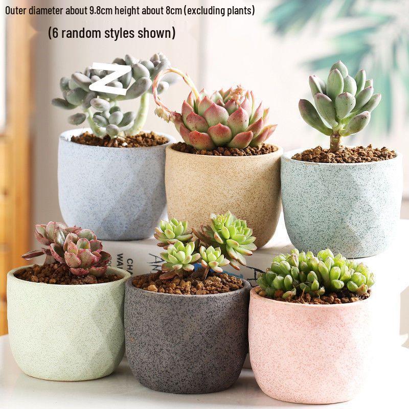 Breathable Ceramic Indoor Succulent Planter Set - Creative Small Flower Pots