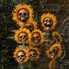 Fun Halloween Garden Accessory Sunflower Skull Ornament, Theme Decor, Potted Outdoor Spooky Planter Plant Waterproof Decoration, for Lawn