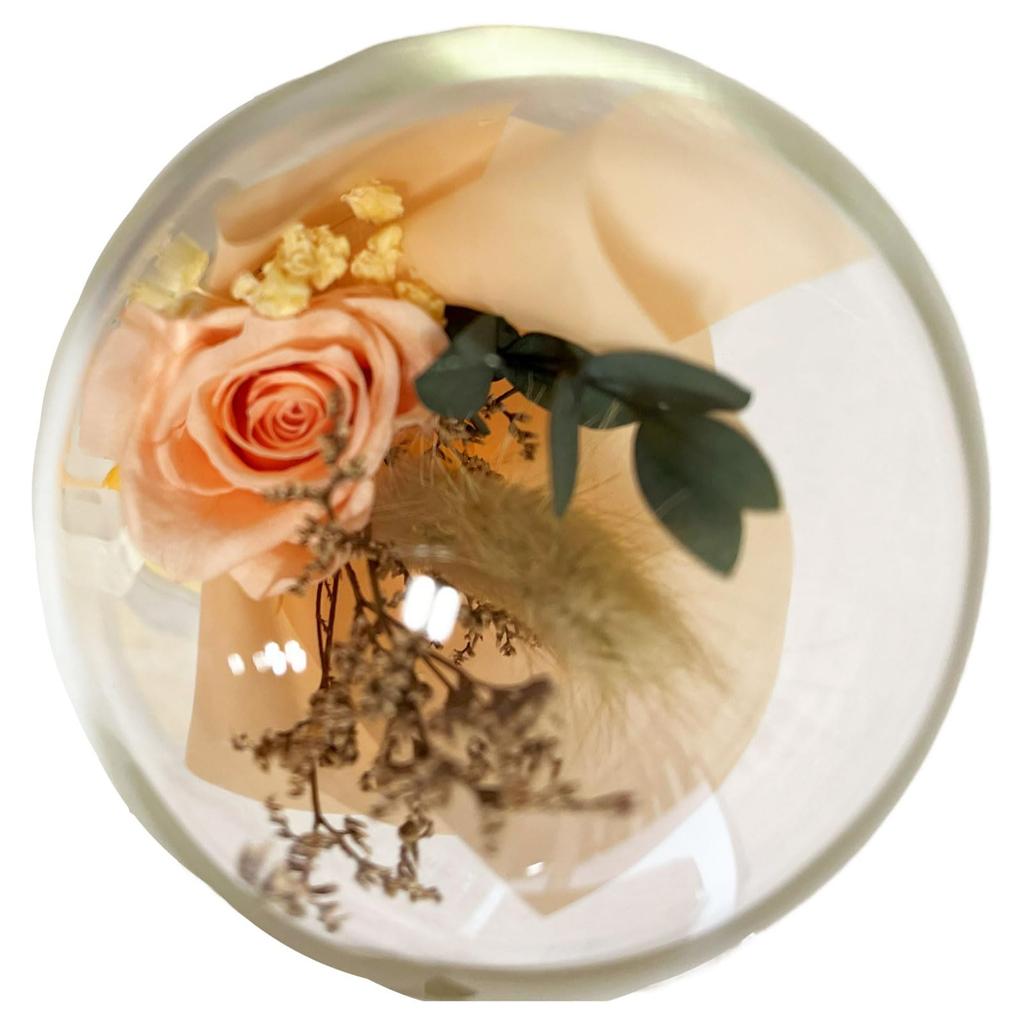 Q-FLA Preserved Flower Dome Arrangement, Orange, Perfect for Gifts and Celebrations, 813672