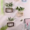 3/5 Test Hydroponic Plants Container Transparent Glass Glass Planter Test Tube Vases  Home Decor