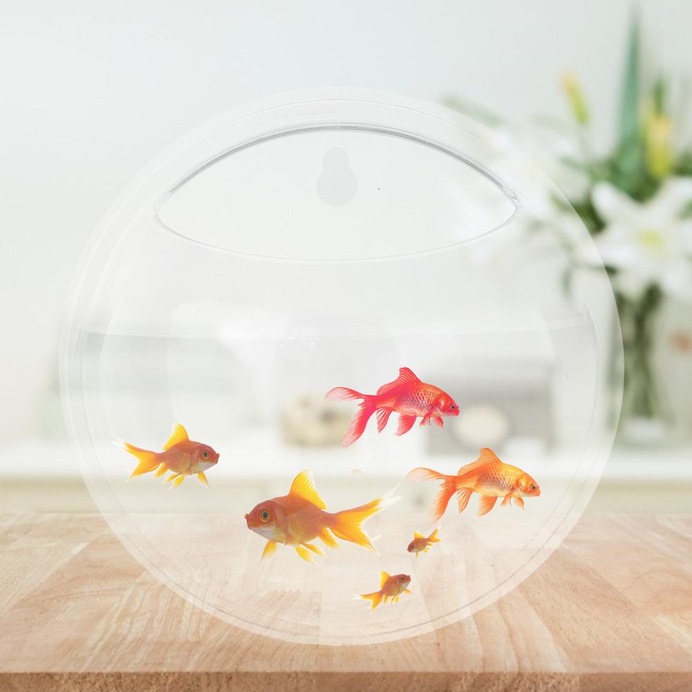 Home Semicircular Wall Hanging Vase Acrylic Hydroponic Terrarium Fish Tank Plant Flower Home Decor Wedding Decoration
