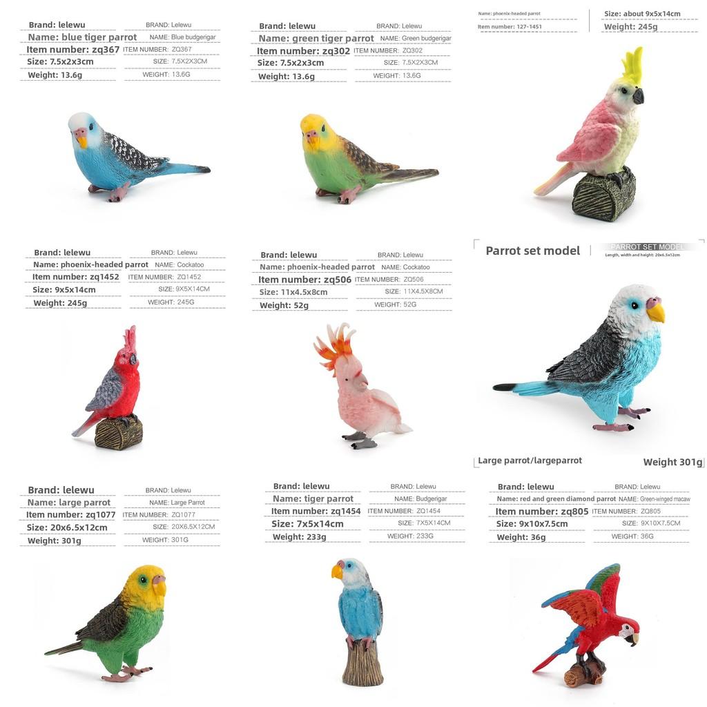Papegaai Model PVC Statisch Beeldje Verzamelaarsobject Voor Vogel Liefhebbers Cadeau Idee