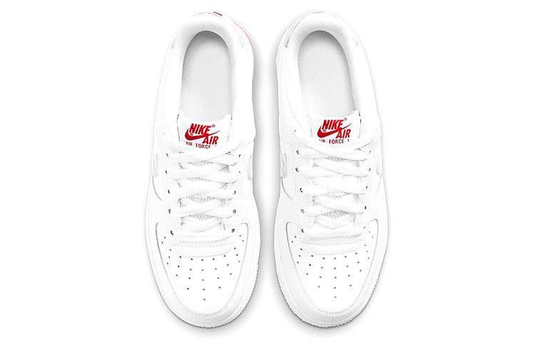 Nike Air Force 1 Low Topography Swoosh GS DJ4625-100