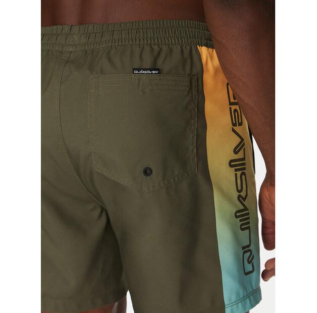 Шорты Quiksilver EQYJV04136