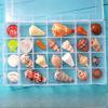 Shell Conch, Popular Science Materials, Specimens, Snail Storage Set, Gift Box, Kindergarten Marine Life Collection