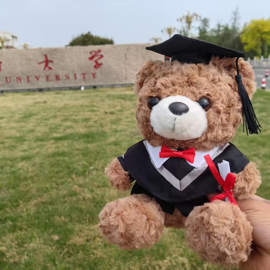 Abschluss Teddybär Stoffpuppe Bachelor Master Doktor Kleidung Puppendesign Geschenk Doktor Bär