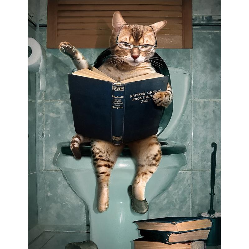 Алмазная вышивка крестиком полная алмазная мозаика читающий кот DIY алмазная живопись 20x30cm