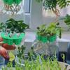 No Soil Seed Germination Tray Plant Growing Tool  for Flowering Plants Compact Green Tray