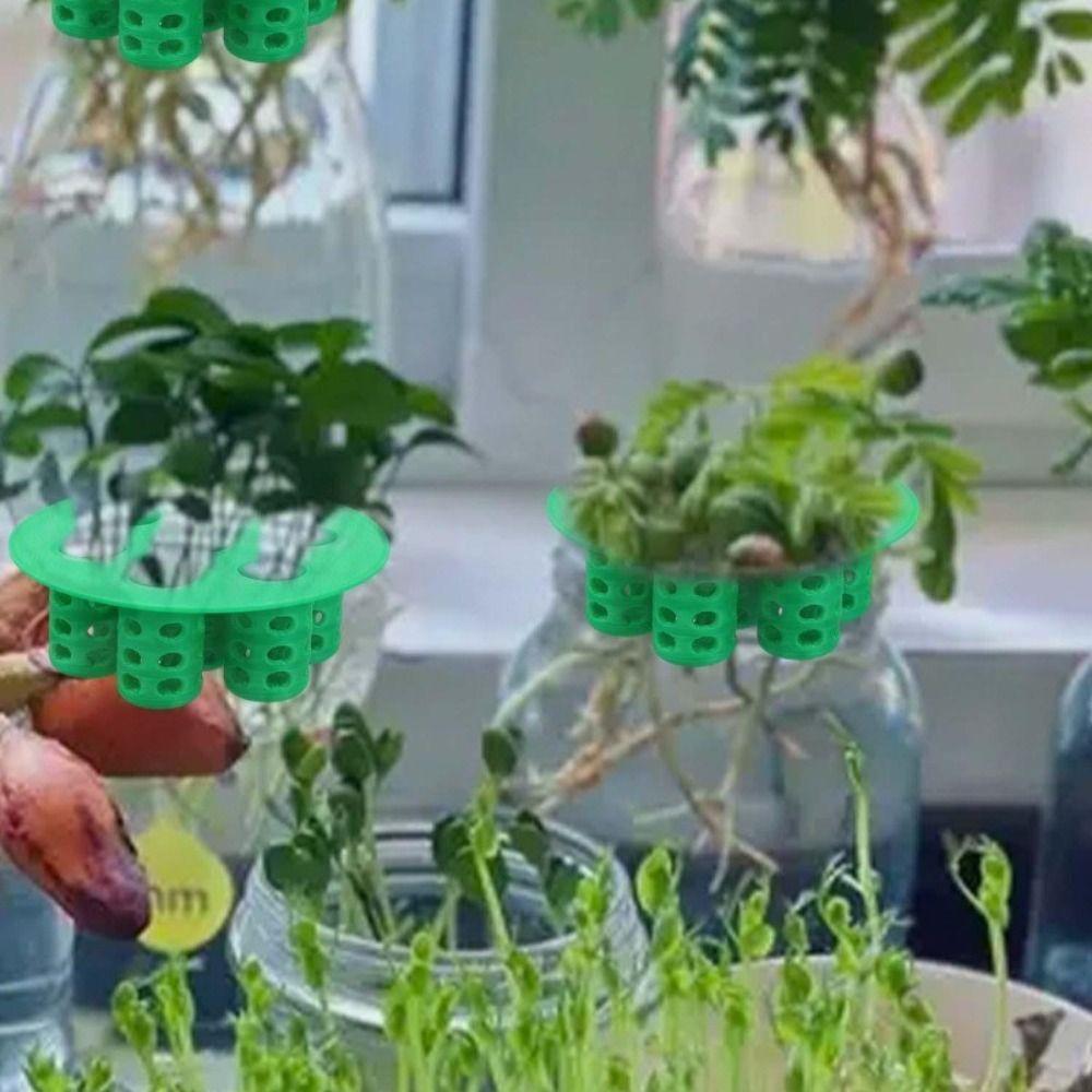 No Soil Seed Germination Tray Plant Growing Tool  for Flowering Plants Compact Green Tray