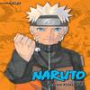 Naruto 3in1 Edition Vol. 16 by Masashi Kishimoto Paperback Book 9781421583426