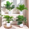 Simulation Pothos Monstera Persian Leaf Artificial Green Plant Wall Decor for Shopping Mall, Restaurant, or Bouquet Display.