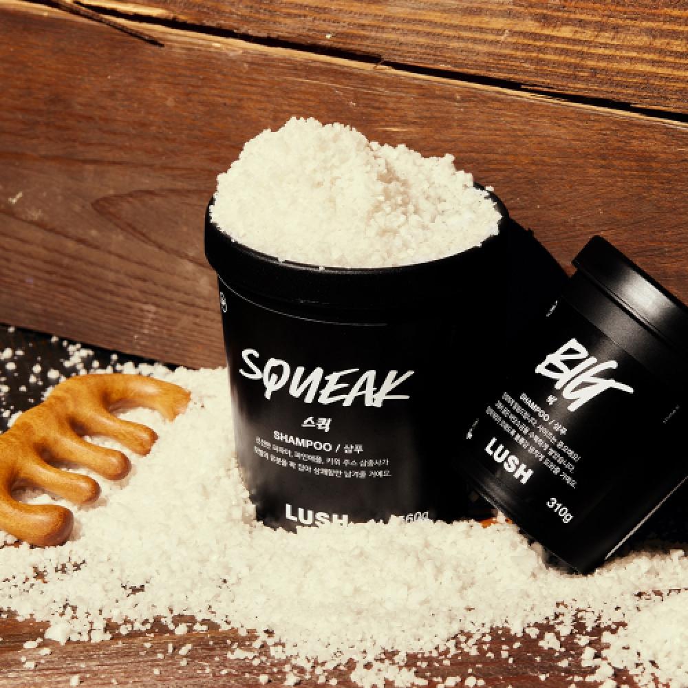 Lush Quick 575g Shampoo NONE