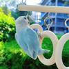Wooden Parrot Ladder with Hook Bird Perch Swing Stand Toy Parakeet Loop Tunnel  Small Birds