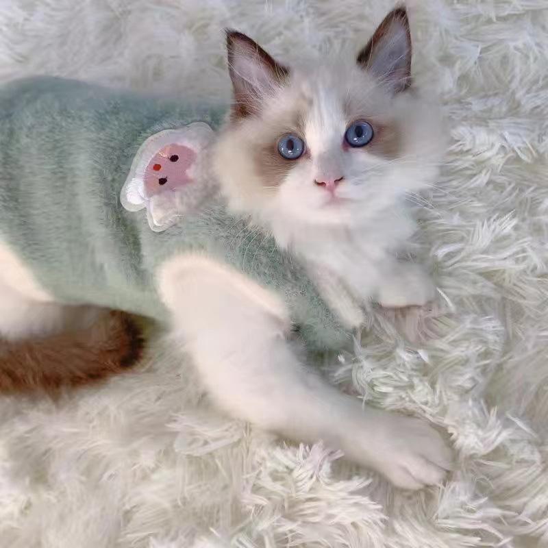 Faux Rabbit Fur Winter Warm Dog Cat Fleece Clothes Warm Breathable Cat Clothing Thickened Wear Resistant Pet Vest Cat