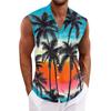 Men's Hawaiian Lapel Button-down Shirt T-shirt Top