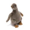 Carolata Humboldt Penguin Plush Toy Realistic Penguin Baby Toy Doll Gift Present Birthday Christmas Present (Chick/Soft Touch) (Twice Tested) /