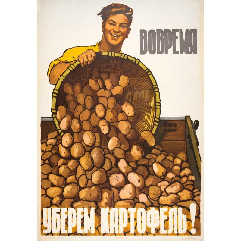 Metal Wall Poster, Agricultural Art, Decorative, 20x30cm