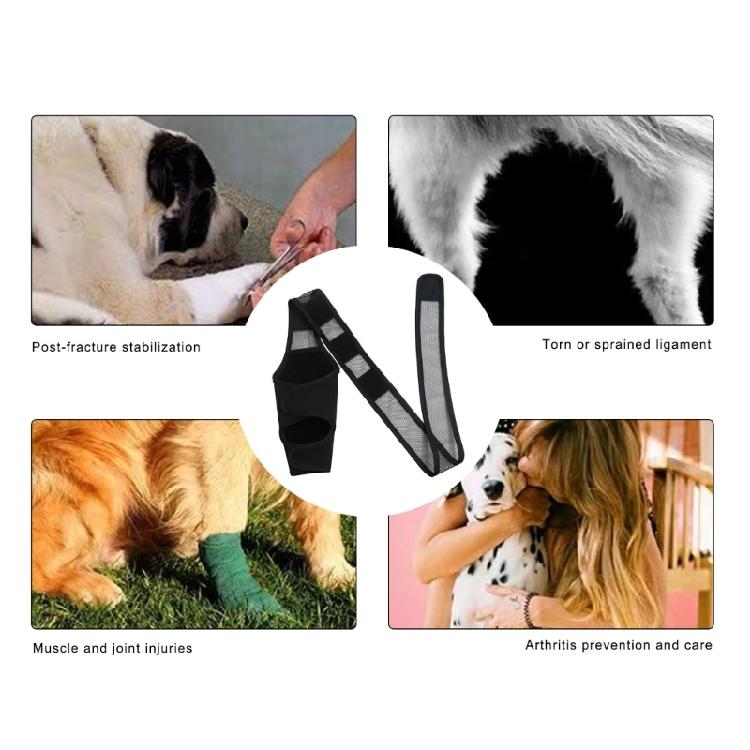 Pet Leg Brace for Support and Warmth Suitable for Injured Aging Dogs for Daily Walks and Outdoor Activity