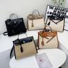 Autumn and Winter New Canvas Commuter Big Hand Shoulder Oblique Span Trendy Women Bag