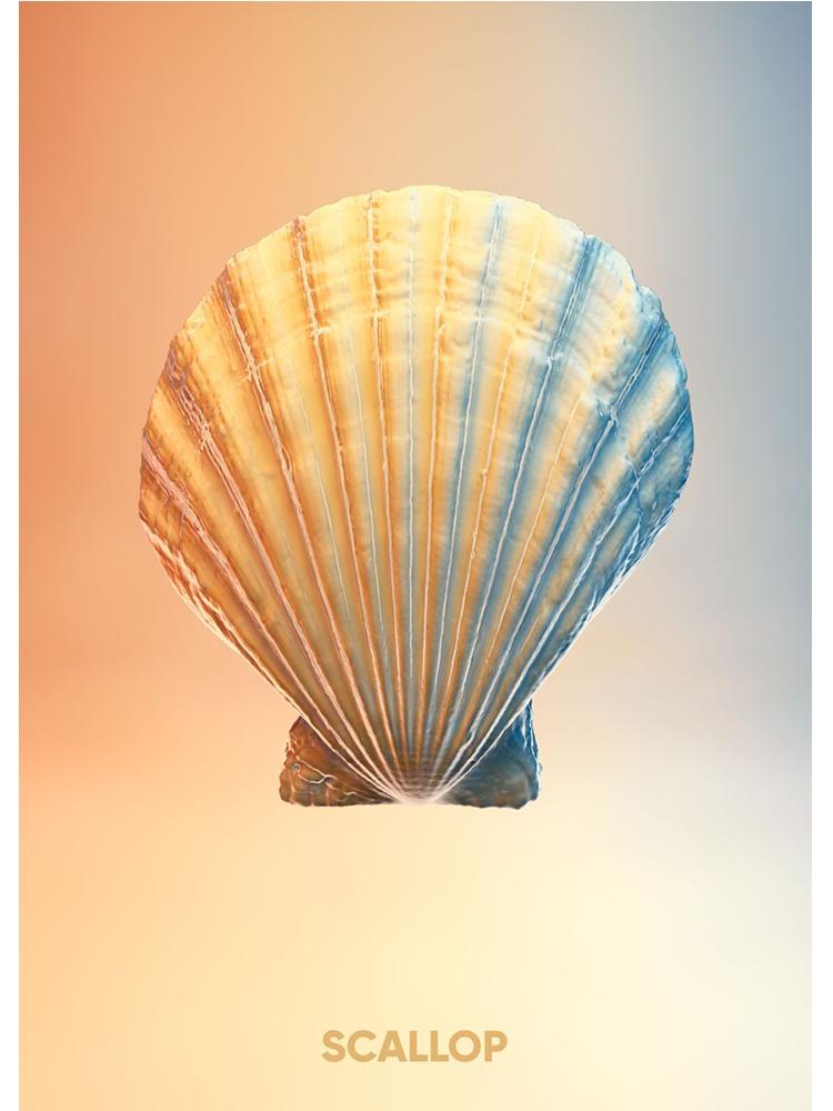 Vintage Crab Ocean Animals Posters Print Canvas Painting Scallop Sea Star Nordic Wall Art For Living Room Home Decoration Mural